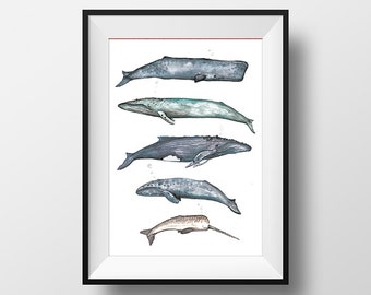 Whale Collection Watercolour Illustration Home Decor Wall Art Giclée print
