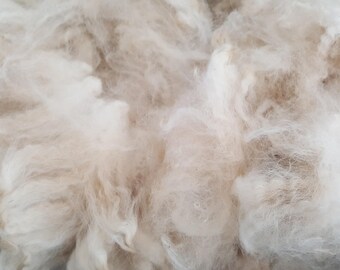 Raw Alpaca