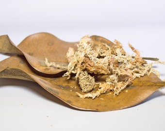 Party On The Sub - Hermit Crab Food - Organic - Hermit Crab - Pet Food
