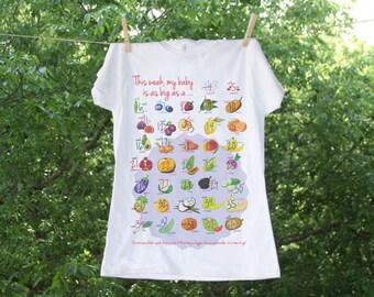 MATERNITY - Week By Week Baby Is The Size of a.... Countdown Maternity Shirt - TR