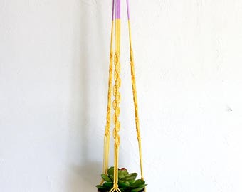 mod lilac & yellow plant hanger