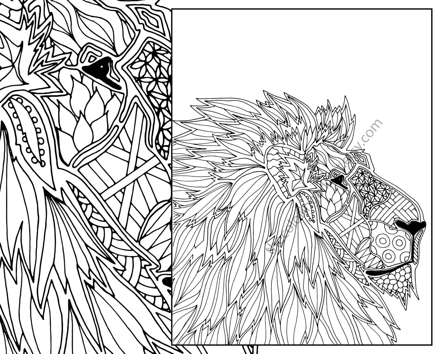 Animal Coloring Page Adult Digital Lion