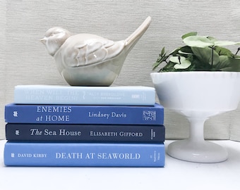 Blue Books for Shelf Decor, Blue Decor, Modern Decor