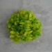Green Grapes Czech Glass Beads Fruit Vintage Bunches Transparent 2-tone Peridot Green Jonquil Yellow Textured 11/16mm Necklaces Jewelry 12
