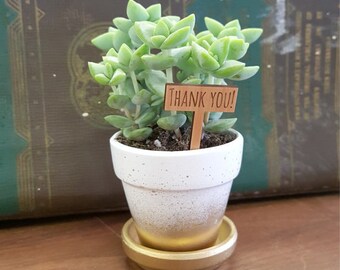 Wedding favor mini planters, mini succulent pots, gold planters