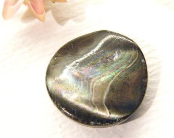 Vintage Button, Chunky Black ABALONE Shell, 7/8" ANIMAL CHARITY Donation