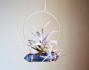 Hanging Planter, Air Plant Crystal Planter, Wabi Sabi Gift For Gardener, Blue Fluorite Air Plant Swing, Chiapensis, Gift For Friend