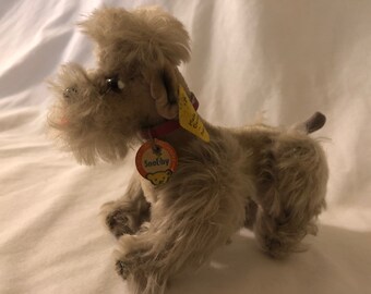 Snobby: Steiff Poodle