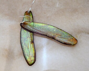 Iridescent Dragonfly Wing earrings