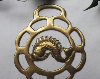 Vintage or Antique Fish Horse Brass - Water, Pisces - Folk Magic, British, Pagan, Wisdom - Rare