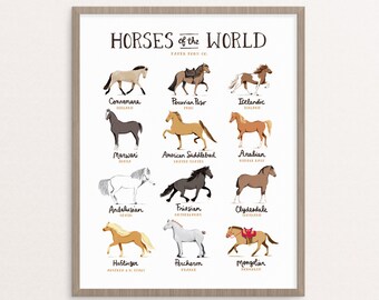 Horses of the World Art Print // Whimsical Illustration Painting Drawing Horses Pony Equestrian Chart Hand Lettered Animals Fun Poster