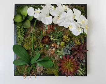 The Purity - Faux Succulent, Lotus and Moss Framed Botanical Art