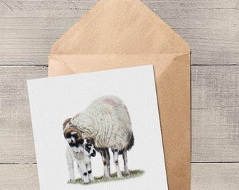 Swaledale Sheep and Lamb Blank Animal Artist Card
