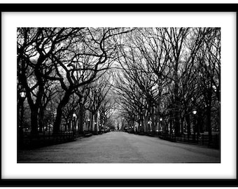 Central Park, NYC - Black and White Fine Art Photograph printed on 308gsm Hahnemuhle fine art paper (Unmatted)