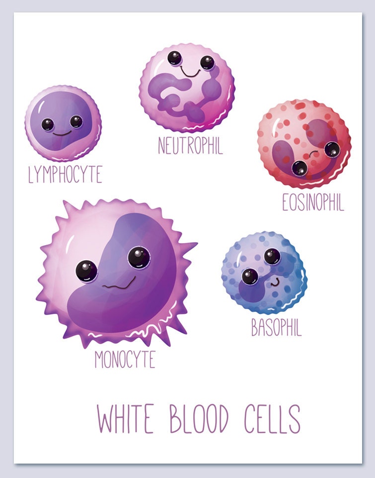 White Blood Cells / Wall art print / biology / cute / fun