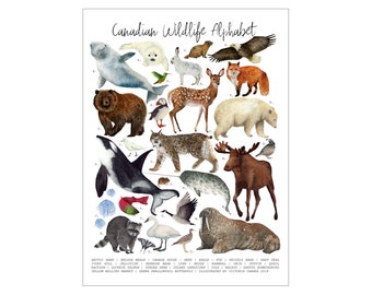 Canadian Wildlife Alphabet Illustration // 8x10 Art Print, wildlife, nursery, children's decor