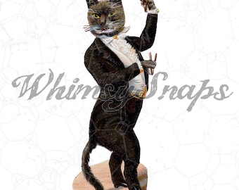 Victorian Cat in Tuxedo Illustration DIGITAL IMAGE Download, .png and .jpeg, transfer to burlap, totes, designs, collages and more