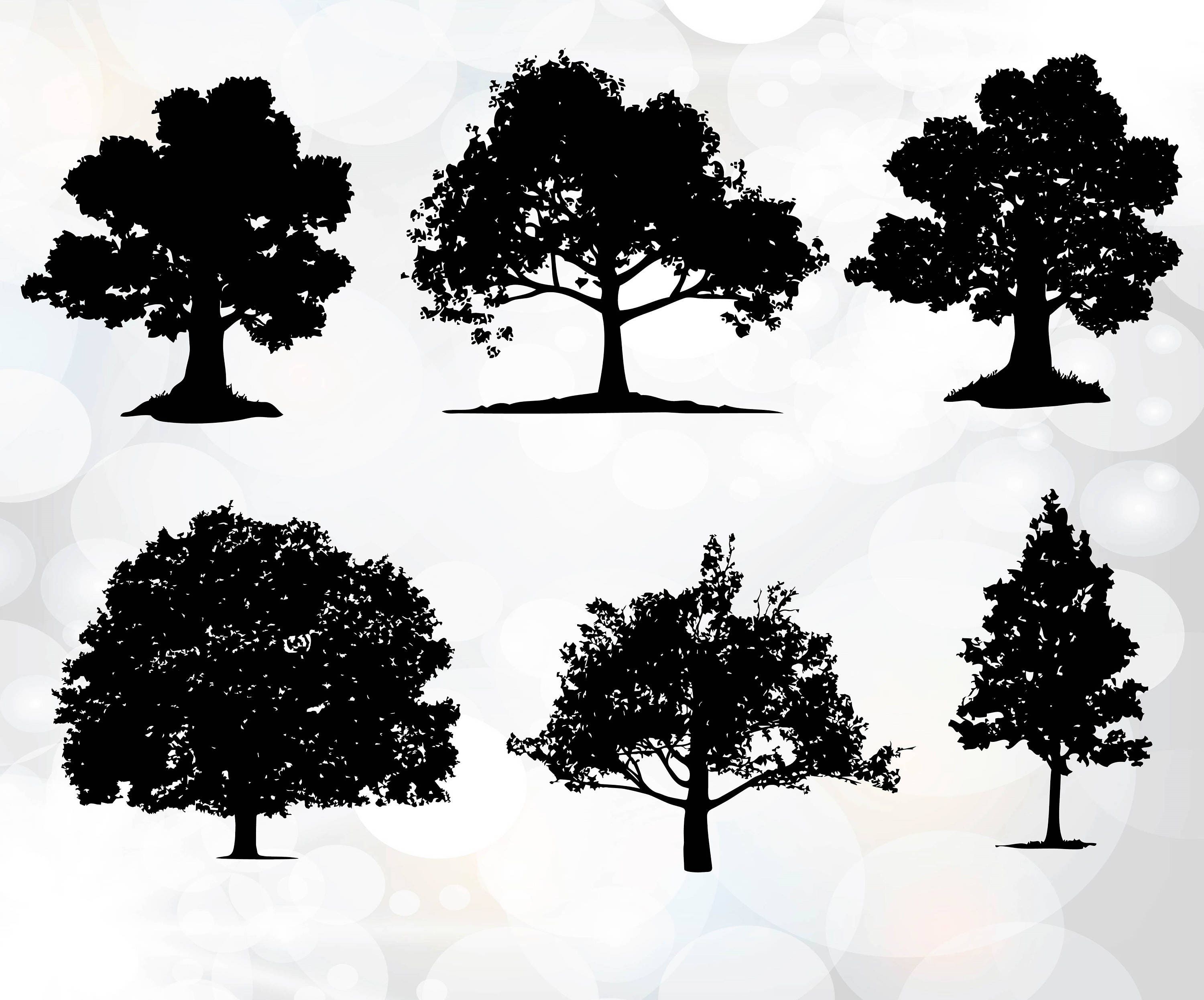 Download Tree Silhouette SVG files Tree SVG Cutting Templates for