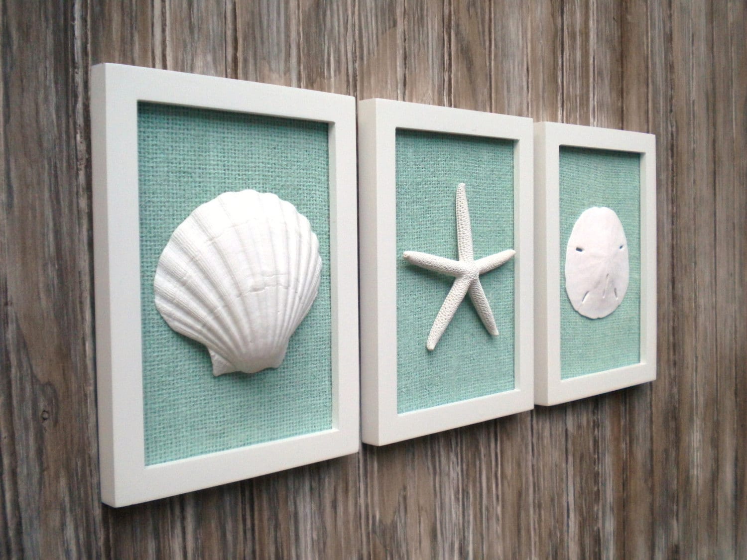 Cottage Chic Set of Beach Wall Art Sea Shells Home Decor