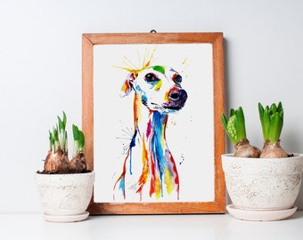 Colorful Whippet and Italian Greyhound Art Print - Print of my Original Watercolor Painting (FREE Shipping)