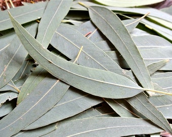 Eucalyptus Leaves, 100gram, Dried Eucalyptus, Green Leaves, Long Leaves, Green Table Confetti, Scrapbooking