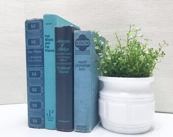 Blue Decorative Books, Shelf Decor, Old Books, Blue Home Decor