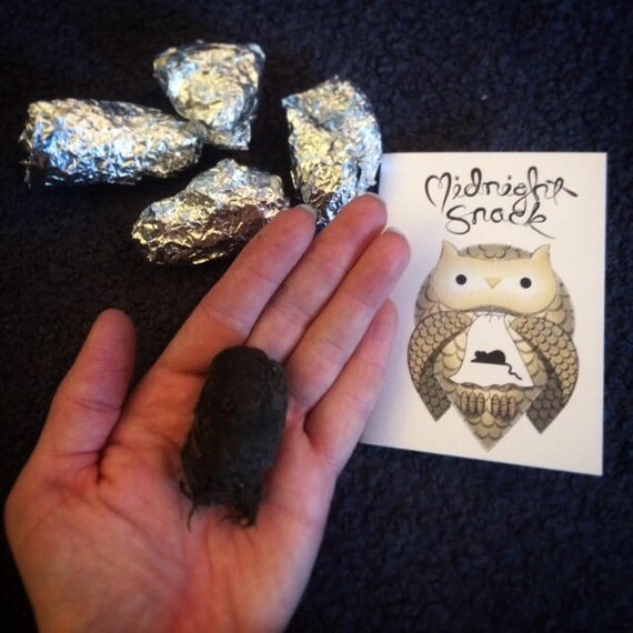 Pack of Large Owl Pellets