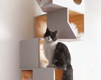 White Modular Cat House