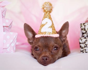 Dog Birthday Party Outfit || Animal Birthday Hat || Pet Birthday Hat || Dog Clothes || Dog Birthday Hat || Dog Costume