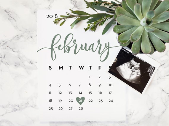 pregnancy date calendar
