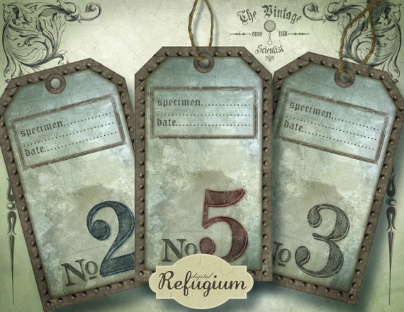 steampunk tags the vintage scientist specimen digital