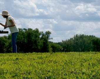 Artist in Field, Massachusetts