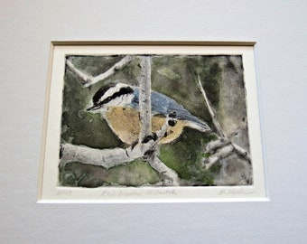 Nuthatch hand tinted photo-etching