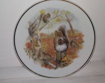 Squirrel Collectable Plate, Wildlife of Britain.