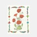 Poppy Coloring Page Instant Download Poppies Flower Coloring Page
