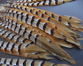 1 the pheasant feather revered, good quality, 33cms 27