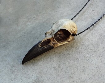 Raven Skull Necklace (2.75" Small) Resin Cast Skull Crow Goth Bird Skull Gothic Gift Jewelry