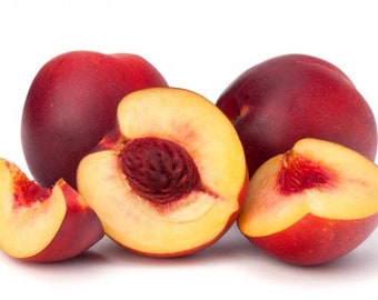 1/2 Ounce Nectarine Flavor Oil