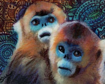 original art aceo drawing red spider monkey zentangle design spirit animals