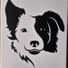 Split Face Border Collie T-Shirt