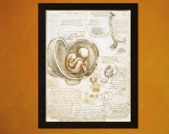 Da Vinci Anatomical Print - Medical Decor Da Vinci Poster Anatomical Decor Anatomy Print Fetus Print Da Vinci Poster Da Vinci Art Gift idea