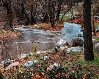 Winter Stream