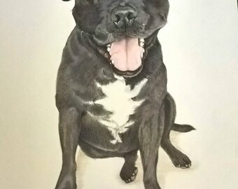 Custom pet portrait handpainted, A4 portrait