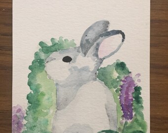 Water Colour Illustration