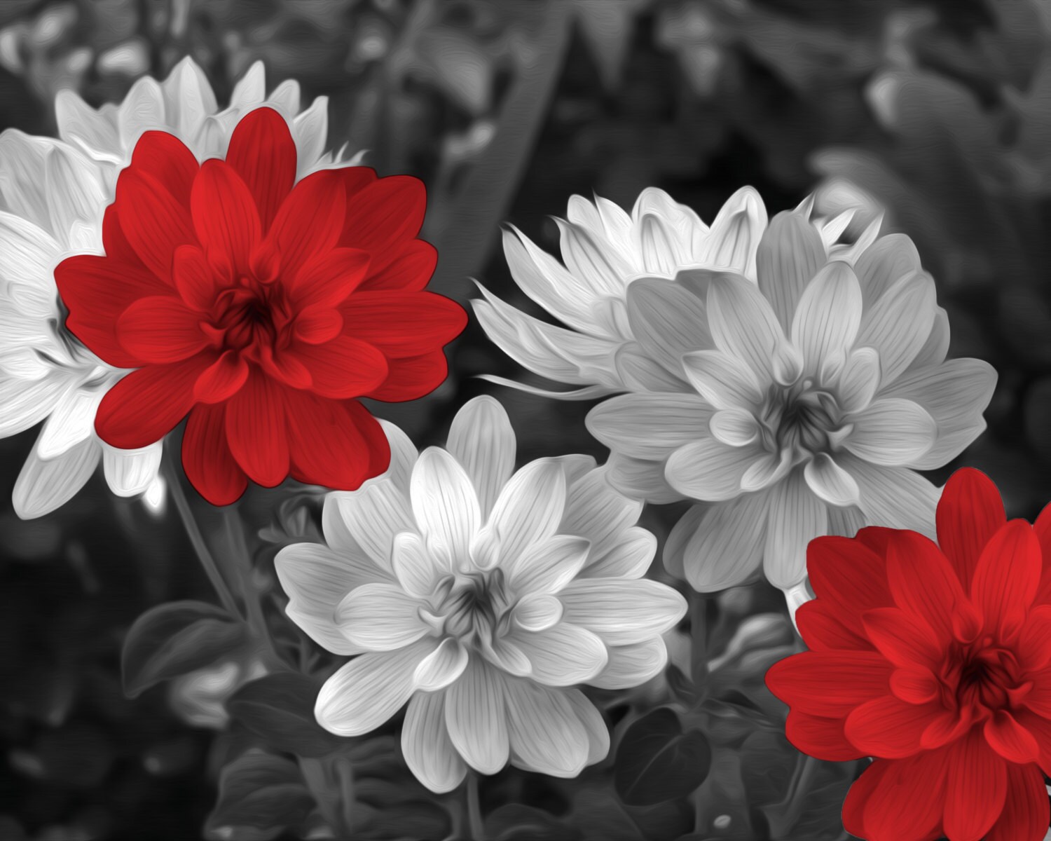 Black White Red Flowers Decor Red Bathroom Bedroom Picture