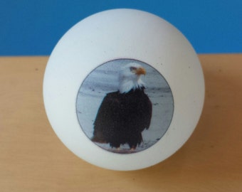 One Dozen Photo Ping Pong Balls with two sided print-Free USA Shipping