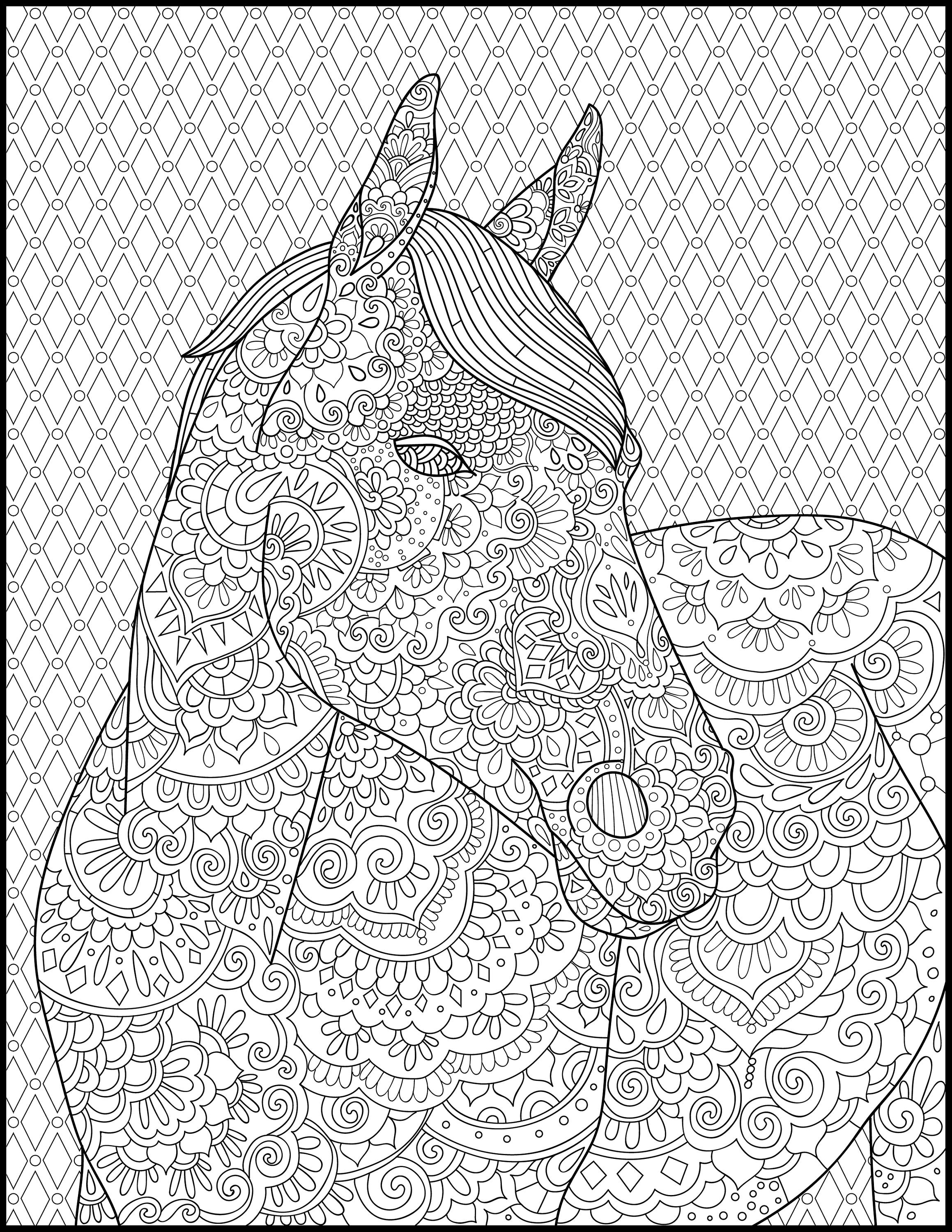 horse coloring page for adults adult coloring pages