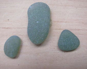 Olive Sea Glass, Beach Glass deep olive beauties
