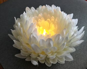 Chrysanthemum Tea Light