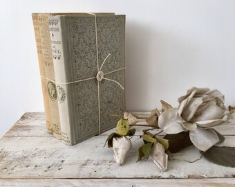 Vintage french classics book bundle